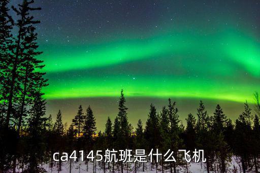 國航333是什么機(jī)型，飛機(jī)機(jī)型333怎么樣