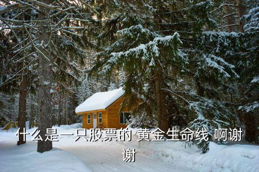 什么是股市生命線，什么是一只股票的 黃金生命線 啊謝謝
