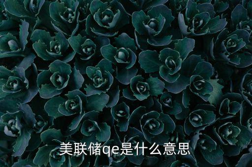 美國(guó)為什么要qe，美聯(lián)儲(chǔ)qe是什么意思