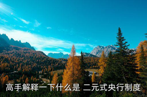 什么是二元體制，什么是二元制
