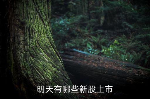 明天什么股票上市，明天有哪些新股上市