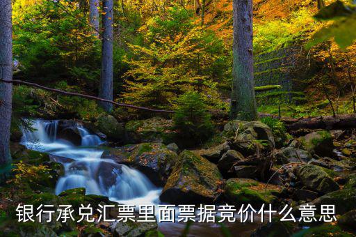票據(jù)網(wǎng)交易是什么意思，中國票據(jù)網(wǎng)httpwwwzgpjwcom中的票據(jù)轉(zhuǎn)貼直貼買入直貼賣出