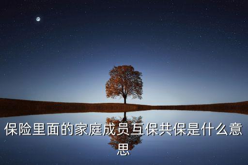什么是共同被保險(xiǎn)人，保險(xiǎn)里面的家庭成員互保共保是什么意思