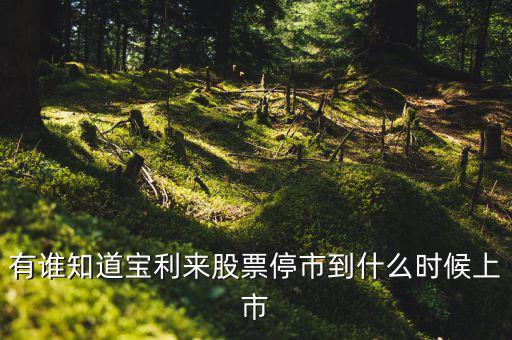 寶利來(lái)什么時(shí)候成為st股的，正常的股票變成st的具體時(shí)間