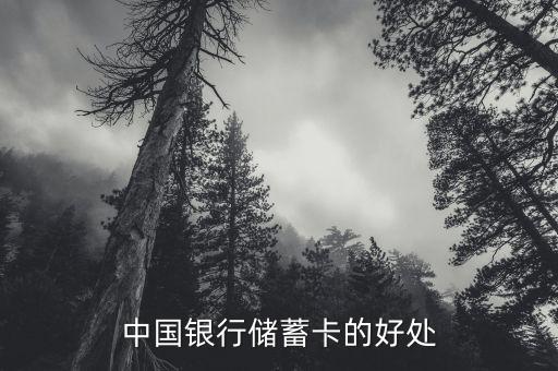 中國(guó)銀行存蓄卡有什么好處，中國(guó)銀行儲(chǔ)蓄卡的好處