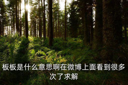 要板了是什么意思，板板是什么意思啊在微博上面看到很多次了求解