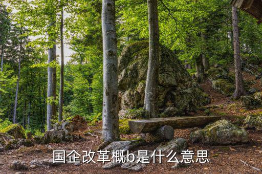國企改b是什么，國企改革概b是什么意思