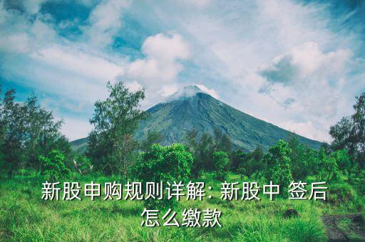 新股中簽后怎么交款,新股標(biāo)簽開戶后可進行資金回流操作