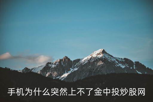 為什么不能用金航線炒股，中航證券的金航線手機(jī)版為什么不能申購新股