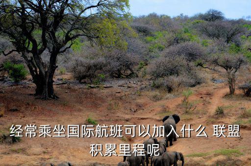 星空聯(lián)盟積分怎么算,南航、東航可通過明珠卡共享積分等