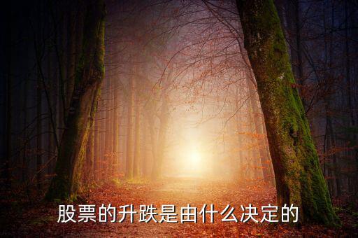股票根據(jù)什么跌升，股票的升跌是由什么決定的