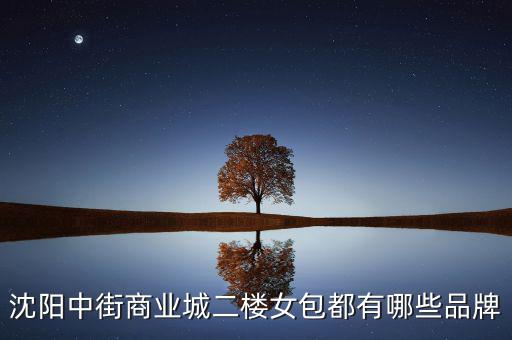 中街商業(yè)城都有什么品牌，沈陽(yáng)中街商業(yè)城二樓女包都有哪些品牌