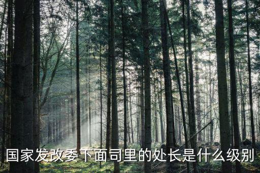 央企處長(zhǎng)是什么級(jí)別，央企比如移動(dòng) 電信 聯(lián)通 中石油石化 這些企業(yè)縣的老總是什么級(jí)別