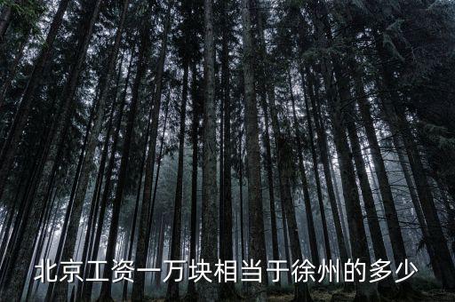 北京月薪1萬什么概念，在北京月薪1萬算高嗎