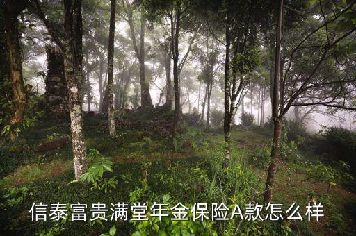 富貴滿堂是什么保險(xiǎn)，陽(yáng)光人壽富貴滿堂兩全保險(xiǎn)a款怎么樣
