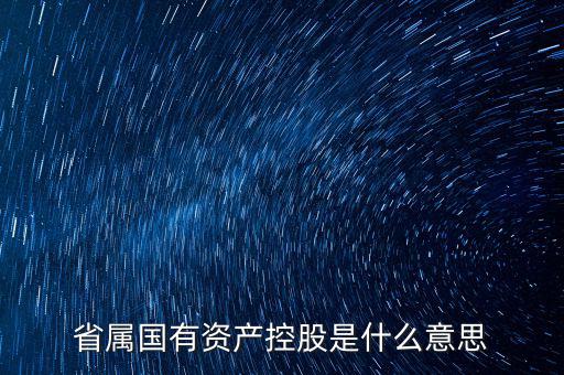 國資控股什么意思，國有資金投資占控股是什么意思