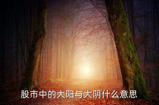 股票大陽是什么意思，股市中的大陽與大陰什么意思