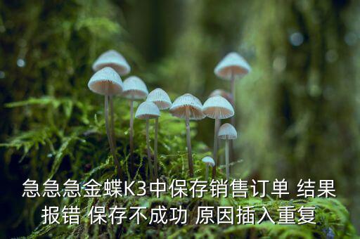 急急急金蝶K3中保存銷售訂單 結(jié)果報錯 保存不成功 原因插入重復