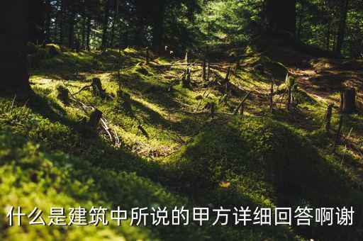 為什么說(shuō)mint是甲方，MINTS DOUBLEMINT是什么意思