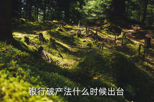 銀行破產法是什么，銀行破產法是金融法的一部分么