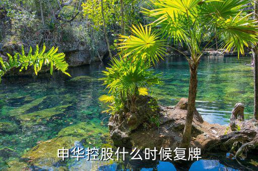 000650什么時(shí)間復(fù)牌，金馬股份什么時(shí)候復(fù)牌