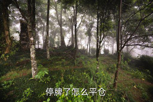 股票黑名單什么意思，股票配售黑名單是什么意思