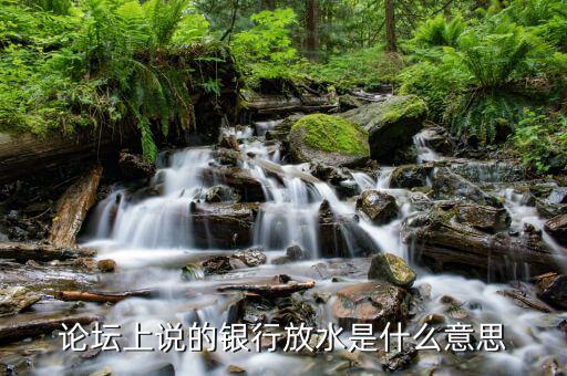 銀行放水是什么意思，央行放水是什么意思