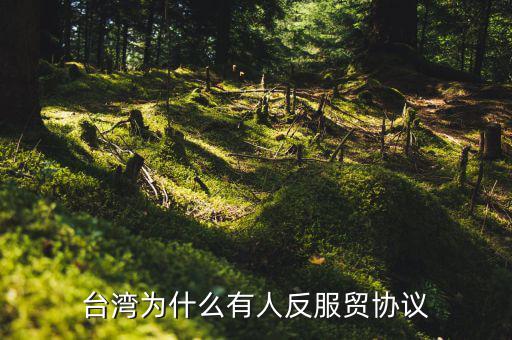 臺灣為什么反對服貿(mào)協(xié)定，臺灣為什么反對服貿(mào)協(xié)定