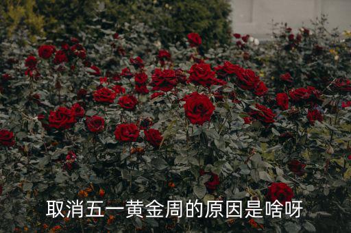 五一黃金周為什么取消，為什么取消五一黃金周