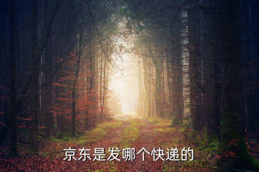 京東自營是發(fā)什么快遞，京東的自營產(chǎn)品一般發(fā)什么物流先謝謝大家了