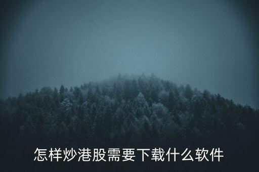 港股資金進出用什么軟件，現(xiàn)在內(nèi)地的炒股滬港通用什么軟件