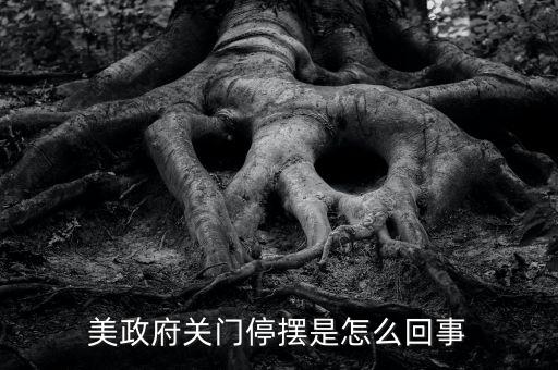 為什么美國政府關(guān)門，美國國會為什么關(guān)門