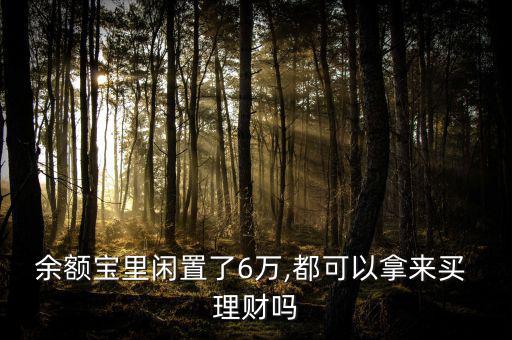 余額寶里閑置了6萬(wàn),都可以拿來買 理財(cái)嗎