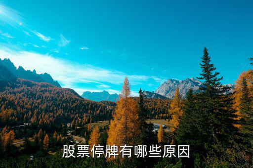 安妮股份為什么停牌，安妮股份后市