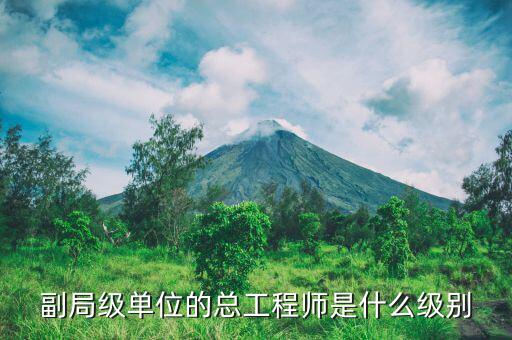 核安全總工程師是什么級別，總工程師是什么級別