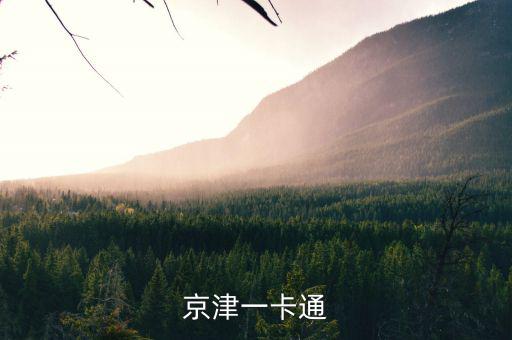 京津冀公交卡一體卡是什么樣子的，在北京辦的藍(lán)色的公交卡是可以在石家莊所有公交用了嗎還是說京津