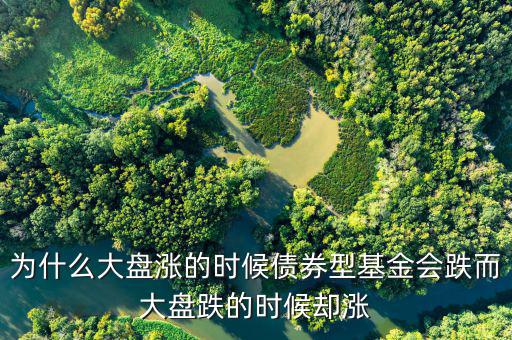 為什么大盤跌基金漲，為啥大盤漲基金反而跌基金又漲