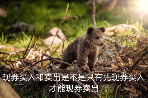 成交回報是什么，什么叫回報