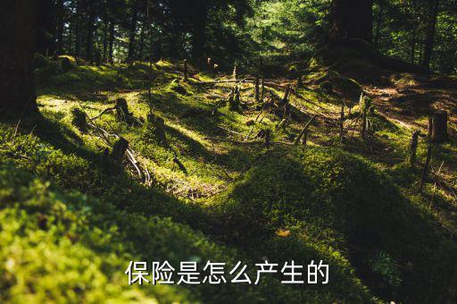 保險的原理是什么，保險是怎么產(chǎn)生的