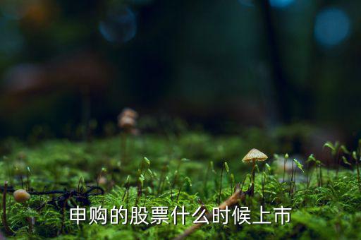 四方申購什么時候上市，申購的新股什么時候上市交易