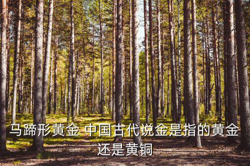中國古代的黃金是什么，古代中國都使用了哪些金屬