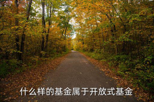開放式基金是什么，什么叫做開放式基金
