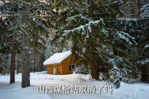 山西煤檢人員什么時間安置，山西省山陰縣岱馬路的煤檢啥時候取消