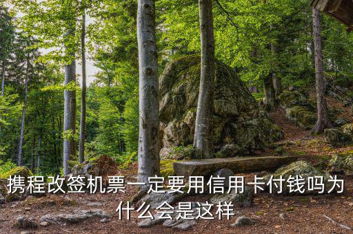 攜程為什么航班改簽，攜程訂了機票為什么不能改簽