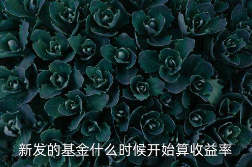 新發(fā)的基金什么時(shí)候開(kāi)始算收益率