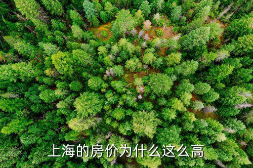 為什么上海房?jī)r(jià)突然漲，談一下上海房?jī)r(jià)去年瘋漲的原因