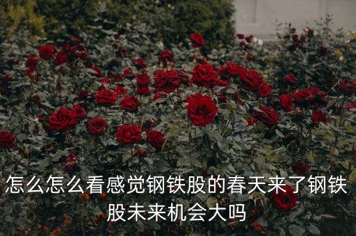 包鋼集團(tuán)是什么性質(zhì)，中國包頭大企業(yè)都有哪些什么性質(zhì)