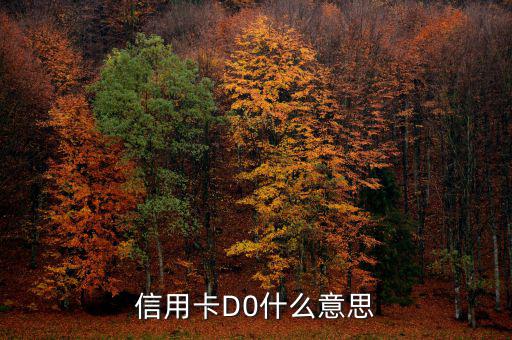預(yù)付卡的贖回是什么意思，信用卡D0什么意思