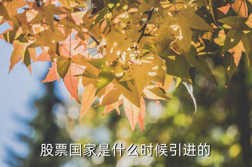 股票什么時(shí)候引進(jìn)的，股票國家是什么時(shí)候引進(jìn)的