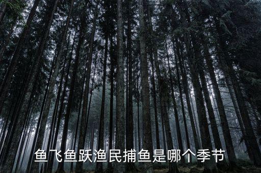 漁民捕魚一般是什么時候，魚飛魚躍漁民捕魚是哪個季節(jié)